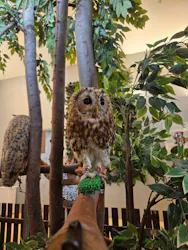 Moff animal cafe イオンモール幕張新都心店に投稿された画像（2026/6/1）