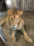 天王寺動物園に投稿された画像（2026/6/2）