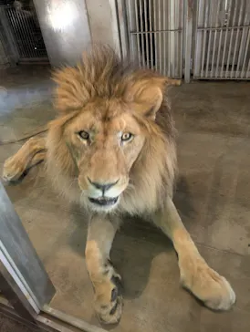 天王寺動物園に投稿された画像（2026/6/2）