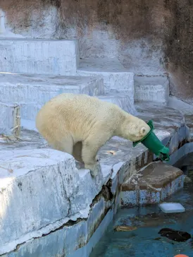 天王寺動物園に投稿された画像（2026/6/2）
