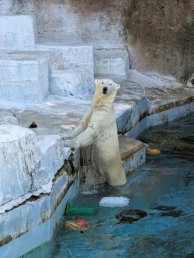 天王寺動物園に投稿された画像（2026/6/2）