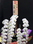 武豊 デビュー40年 ～前人未到の記録～　（銀座三越）に投稿された画像（2026/6/2）