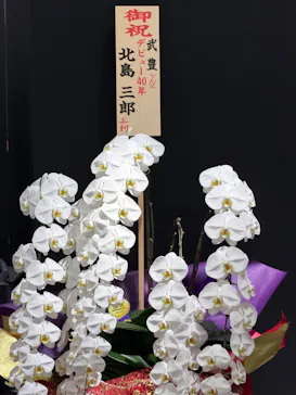 武豊 デビュー40年 ～前人未到の記録～　（銀座三越）に投稿された画像（2026/6/2）
