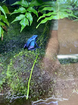 恩賜上野動物園に投稿された画像（2026/6/2）