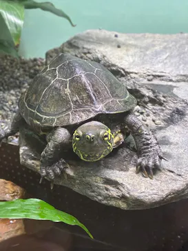 名古屋市東山動植物園に投稿された画像（2026/6/2）
