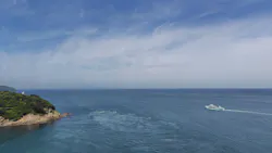 徳島県立 渦の道に投稿された画像（2026/6/2）