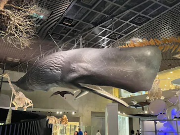 特別展「超危険生物展　科学で挑む生き物の本気」に投稿された画像（2026/6/2）