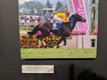 武豊 デビュー40年 ～前人未到の記録～　（銀座三越）に投稿された画像（2026/6/2）
