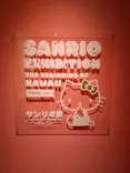 サンリオ展 FINAL ver. ニッポンのカワイイ文化60年史に投稿された画像（2026/6/2）