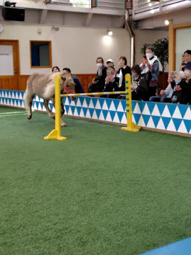 ノーザンホースパークに投稿された画像（2026/6/2）