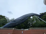 国立科学博物館に投稿された画像（2026/6/2）