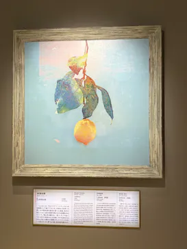 大塚国際美術館に投稿された画像（2026/6/2）