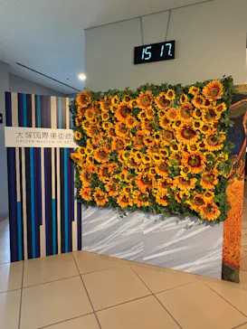 大塚国際美術館に投稿された画像（2026/6/2）