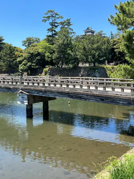 松江城に投稿された画像（2026/6/2）