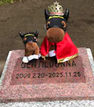 ノーザンホースパークに投稿された画像（2026/6/2）