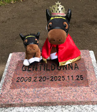 ノーザンホースパークに投稿された画像（2026/6/2）