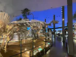 福井県立恐竜博物館に投稿された画像（2026/6/2）