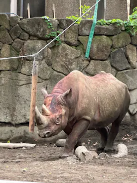 恩賜上野動物園に投稿された画像（2026/6/2）