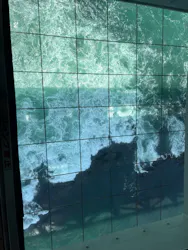 徳島県立 渦の道に投稿された画像（2026/6/2）