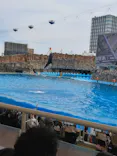 名古屋港水族館に投稿された画像（2026/6/2）