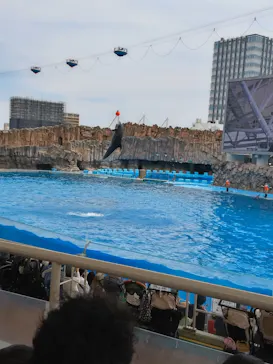 名古屋港水族館に投稿された画像（2026/6/2）