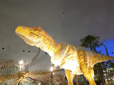 福井県立恐竜博物館に投稿された画像（2026/6/2）