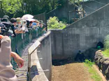千葉市動物公園に投稿された画像（2026/6/2）