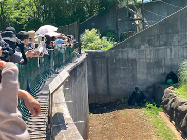 千葉市動物公園に投稿された画像（2026/6/2）