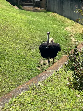 千葉市動物公園に投稿された画像（2026/6/2）
