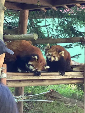 千葉市動物公園に投稿された画像（2026/6/2）