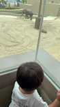 天王寺動物園に投稿された画像（2026/6/2）