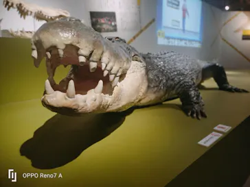 特別展「超危険生物展　科学で挑む生き物の本気」に投稿された画像（2026/6/2）