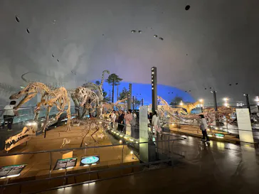 福井県立恐竜博物館に投稿された画像（2026/6/2）