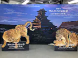 サムライの見た夢　～幻の豊臣大坂城～に投稿された画像（2026/6/3）
