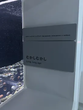 AOAO SAPPOROに投稿された画像（2026/6/2）