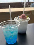 新江ノ島水族館に投稿された画像（2026/6/3）