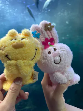 新江ノ島水族館に投稿された画像（2026/6/2）