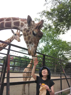 宇都宮動物園に投稿された画像（2026/6/2）