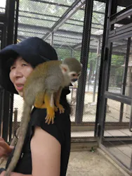 宇都宮動物園に投稿された画像（2026/6/2）