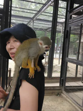 宇都宮動物園に投稿された画像（2026/6/2）