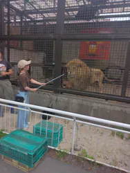 宇都宮動物園に投稿された画像（2026/6/2）