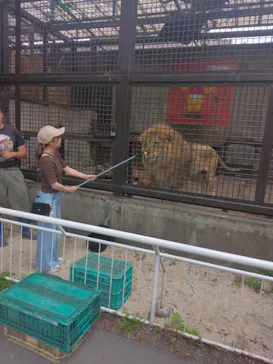 宇都宮動物園に投稿された画像（2026/6/2）