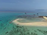 石垣島　ウミガメシュノーケル　マリンショップHAPPYに投稿された画像（2026/6/3）