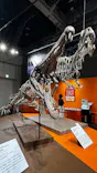 大絶滅展ー生命史のビッグファイブ（名古屋会場）に投稿された画像（2026/6/3）