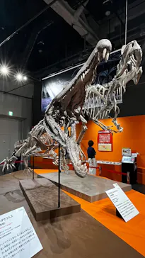 大絶滅展ー生命史のビッグファイブ（名古屋会場）に投稿された画像（2026/6/2）