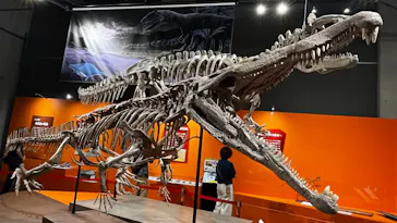 大絶滅展ー生命史のビッグファイブ（名古屋会場）に投稿された画像（2026/6/2）