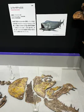 大絶滅展ー生命史のビッグファイブ（名古屋会場）に投稿された画像（2026/6/2）