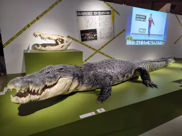 特別展「超危険生物展　科学で挑む生き物の本気」に投稿された画像（2026/6/3）