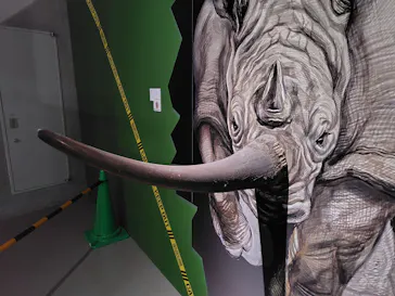 特別展「超危険生物展　科学で挑む生き物の本気」に投稿された画像（2026/6/3）