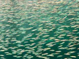 名古屋港水族館に投稿された画像（2026/6/3）